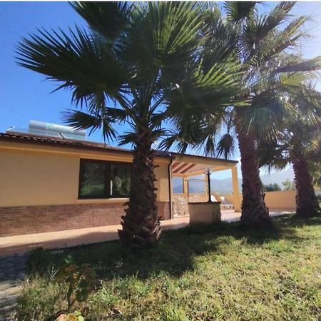 Casa Delle Palme Apartment Cefalu Exterior photo