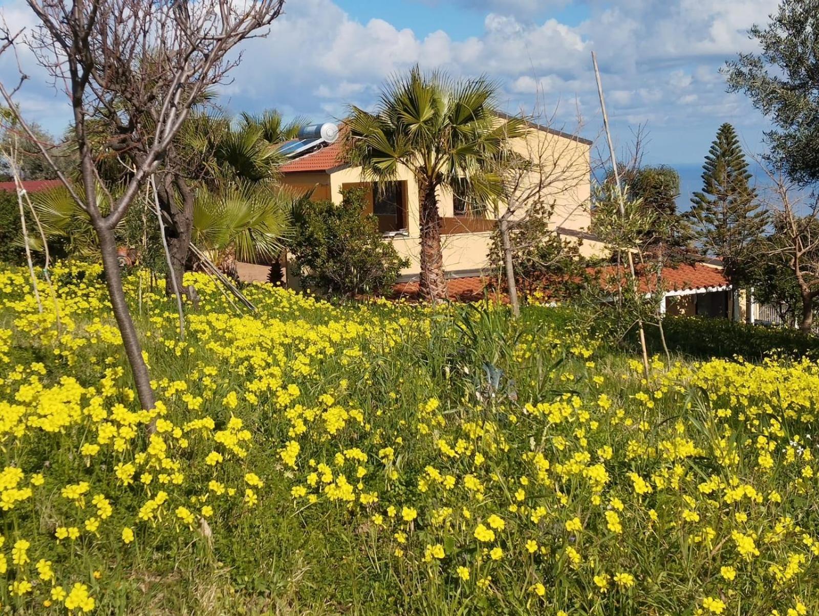 Casa Delle Palme Apartment Cefalu Exterior photo