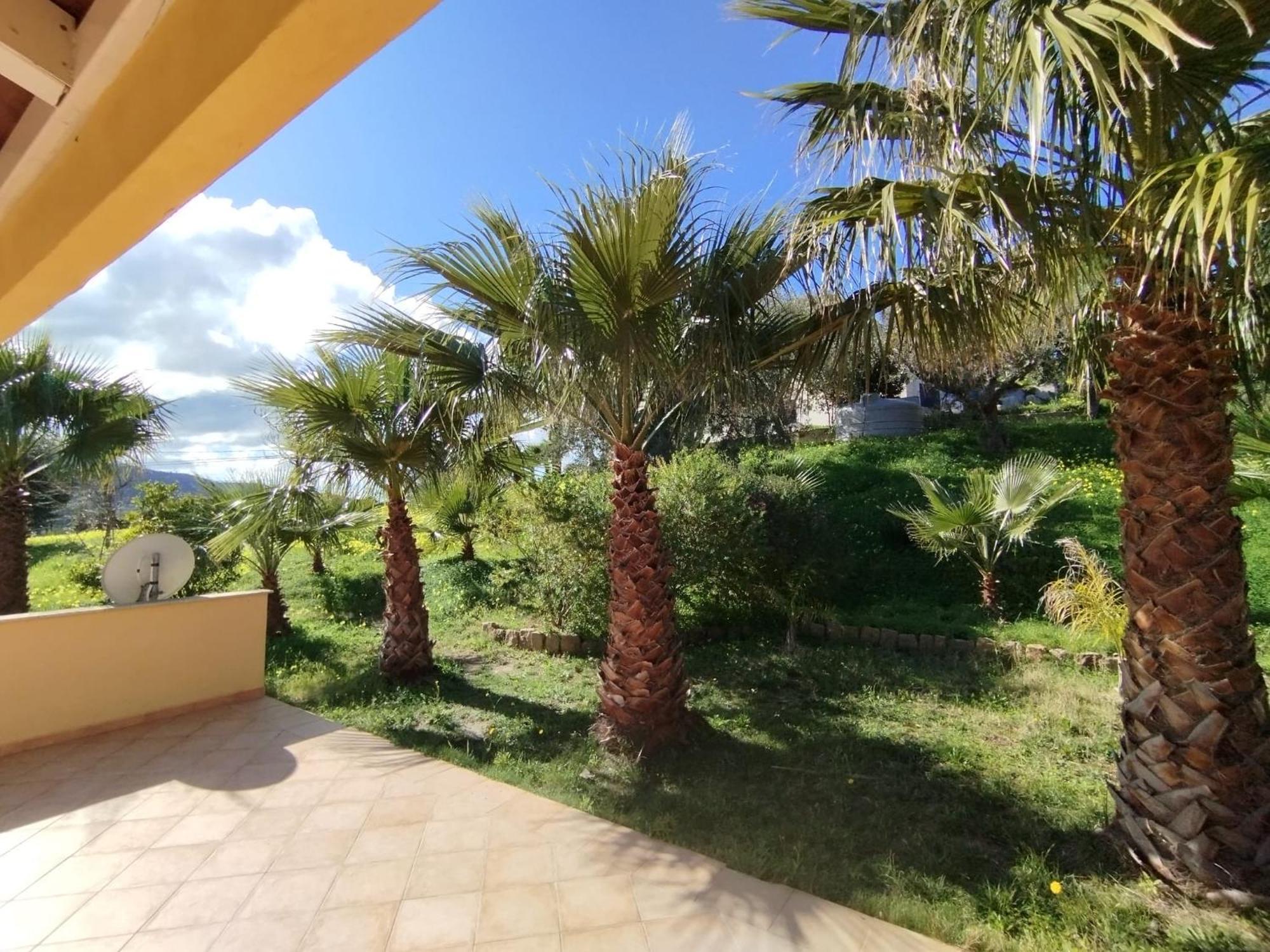 Casa Delle Palme Apartment Cefalu Exterior photo