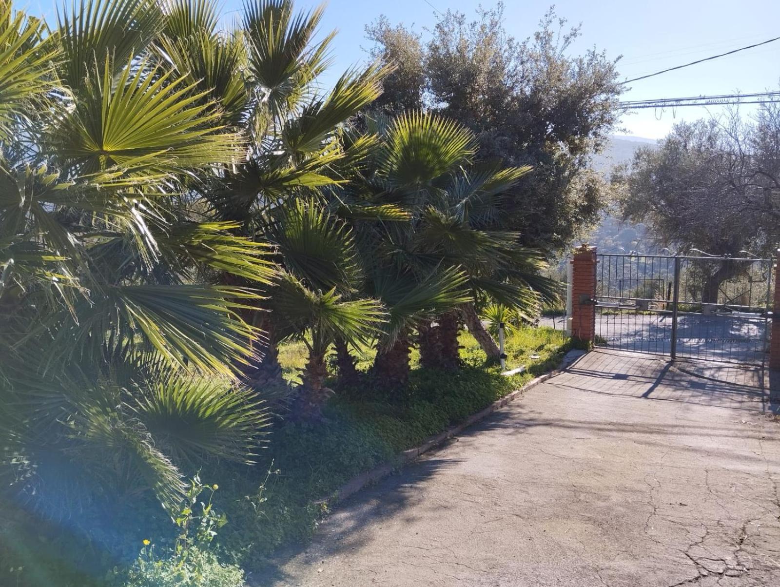 Casa Delle Palme Apartment Cefalu Exterior photo