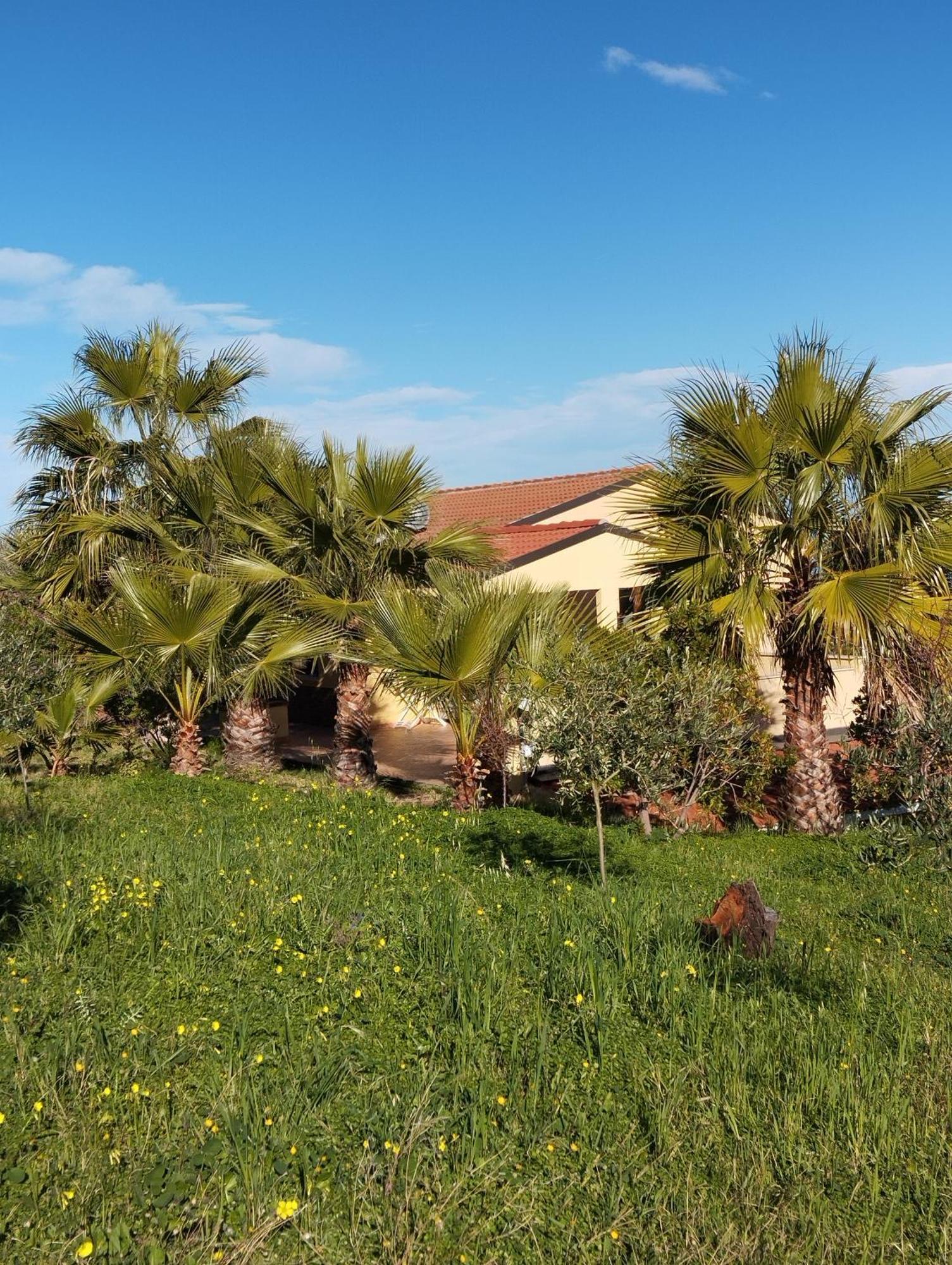 Casa Delle Palme Apartment Cefalu Exterior photo